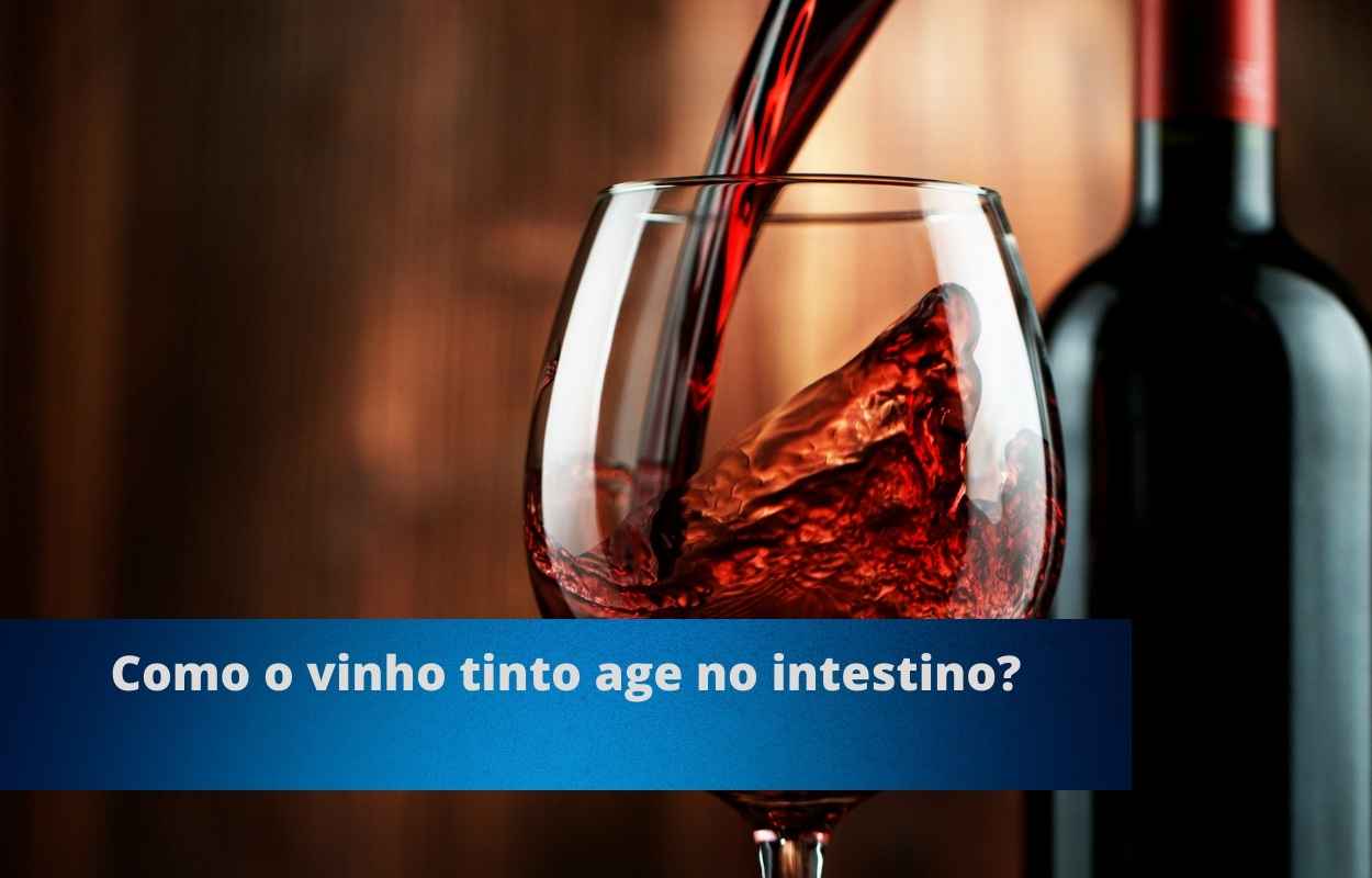 Como o vinho tinto age no intestino