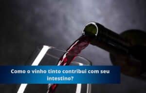 Como o vinho tinto contribui com seu intestino