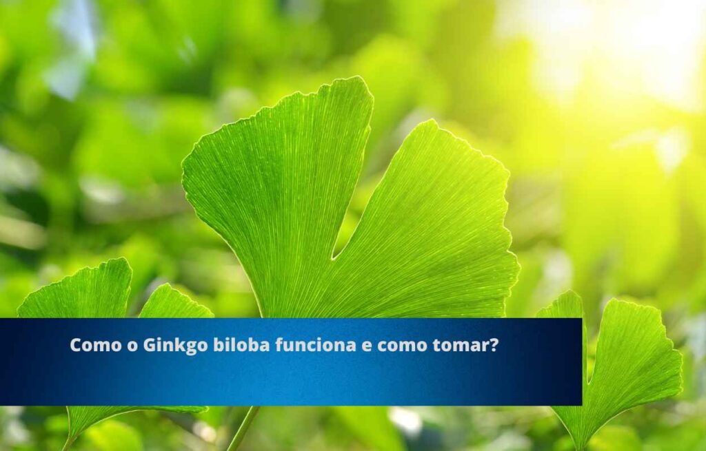 Ginkgo biloba: Uma Antiga Árvore com Benefícios Modernos para a Saúde ...